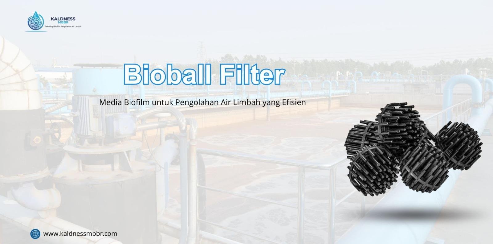 Bioball Filter